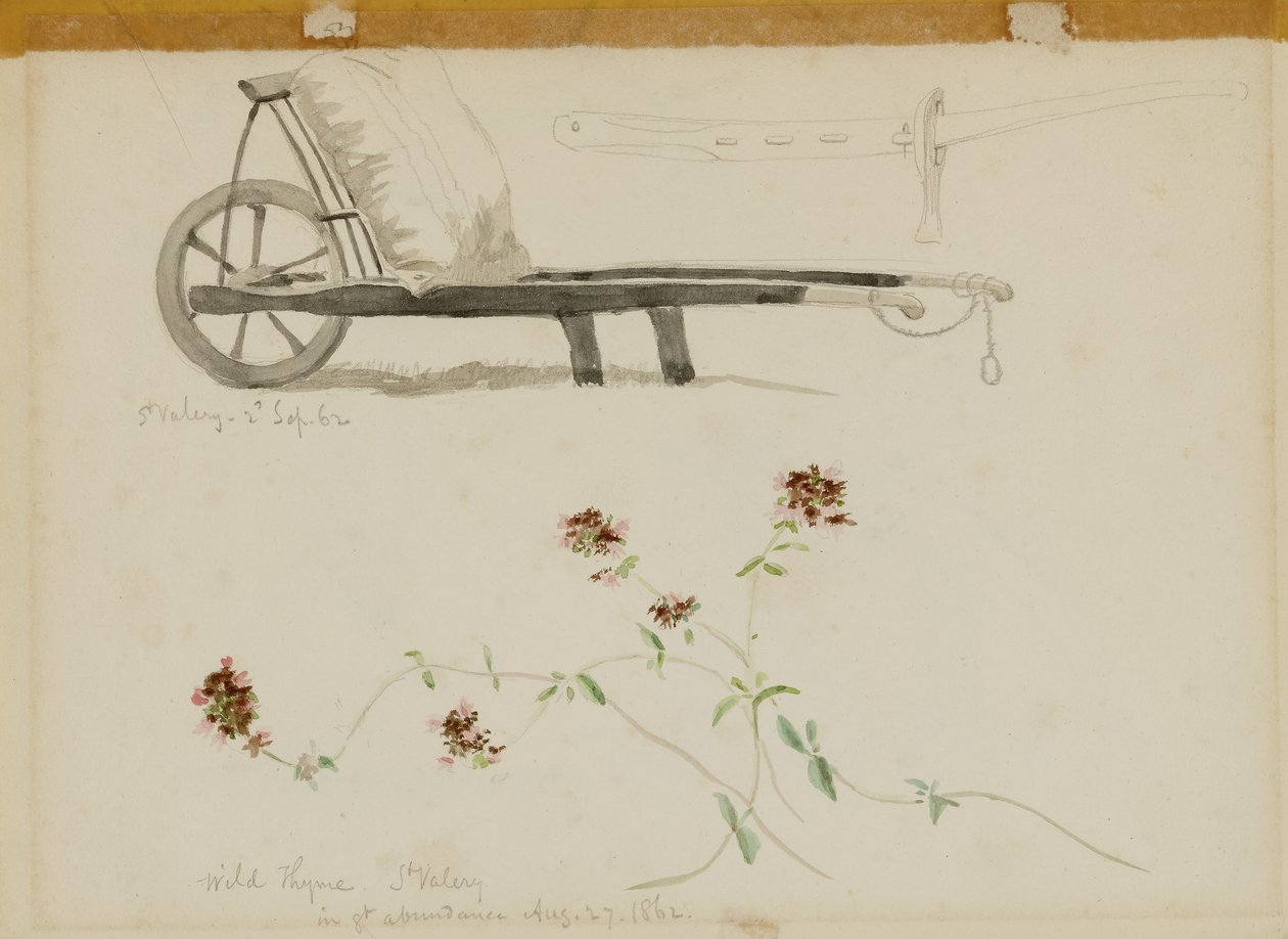 St. Valery-Blow-Wild Thyme by Miner Kilbourne Kellogg