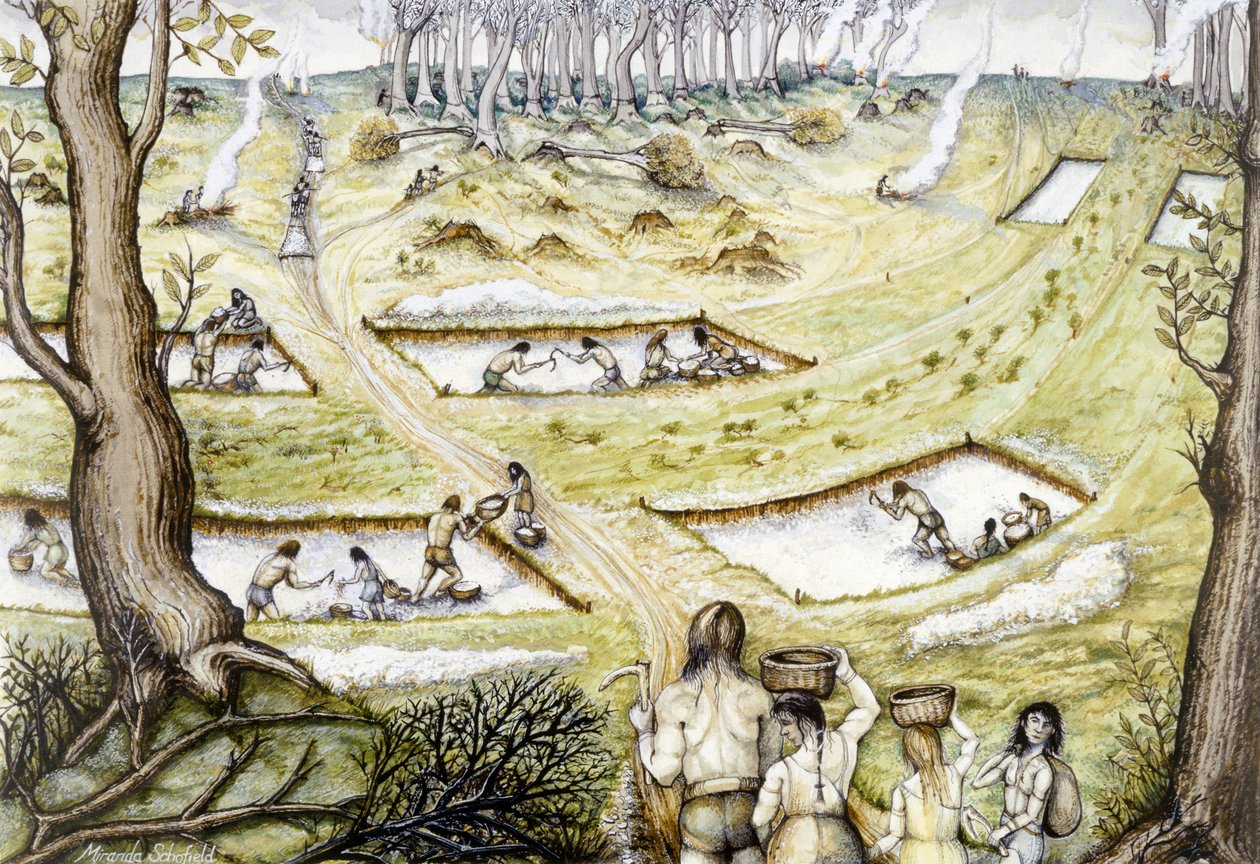 Digging Defence Ditches by Miranda Schofield