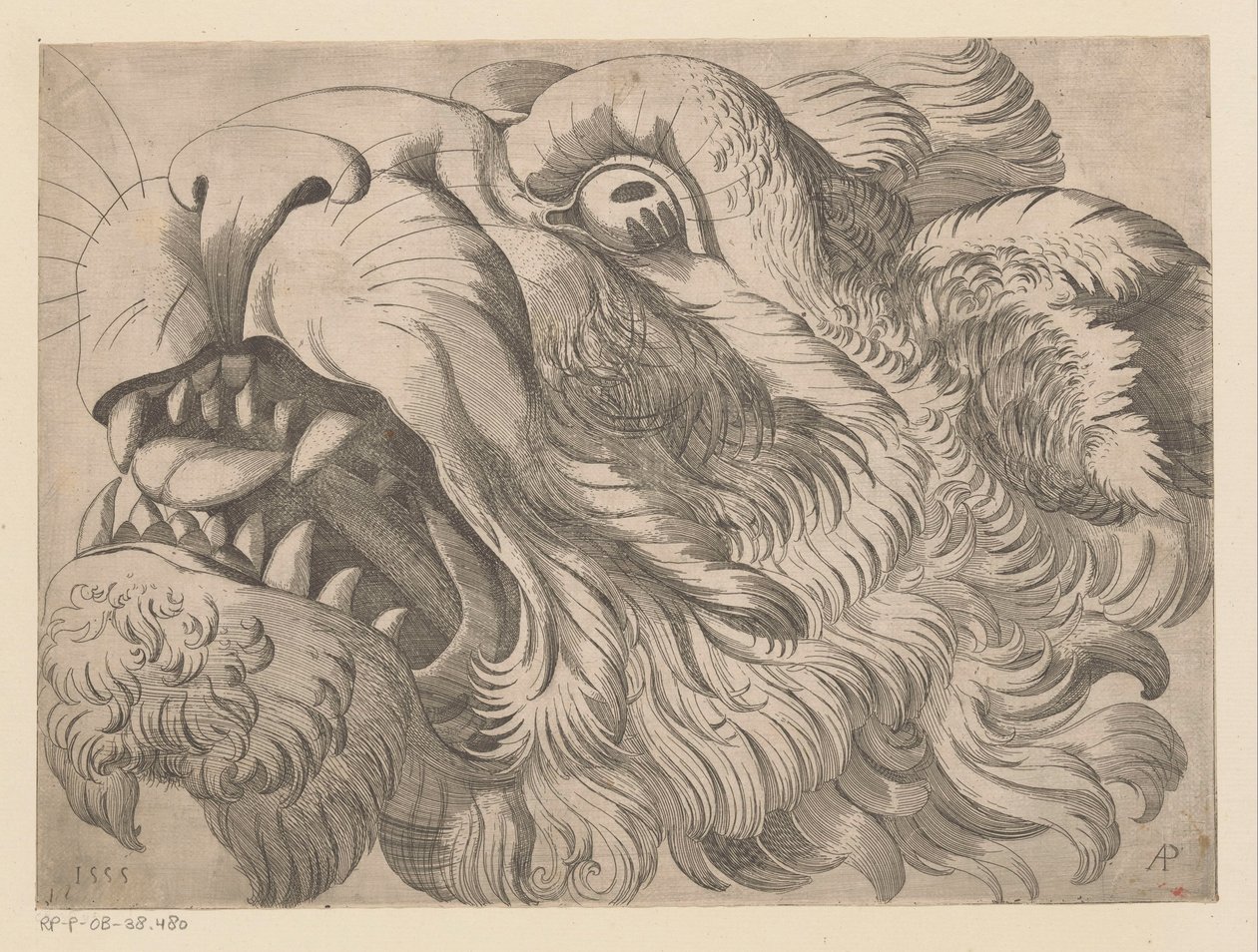 Head of a Lion by Monogrammist AP
