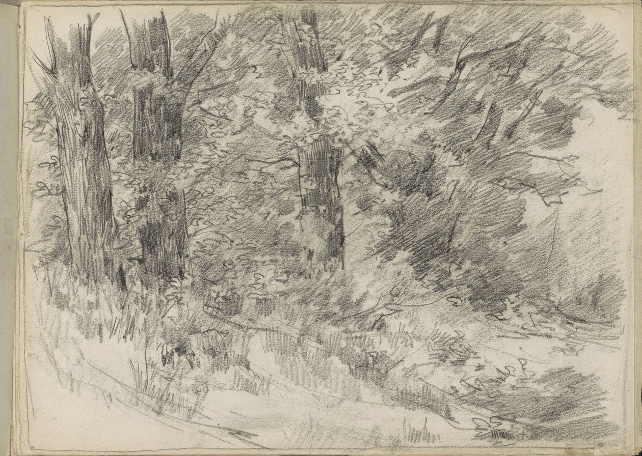 Forest View by Monogrammist DS (tekenaar)