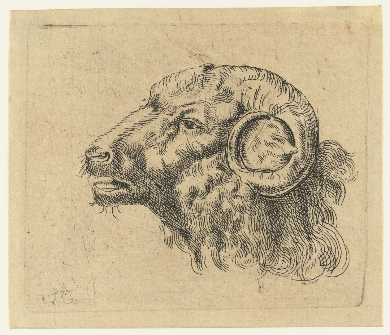 Head of a Ram by Monogrammist IFG (graveur)