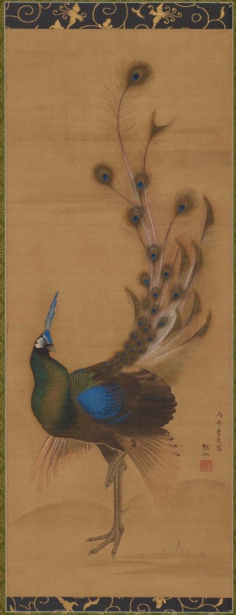 Peacock by Mori Sosen