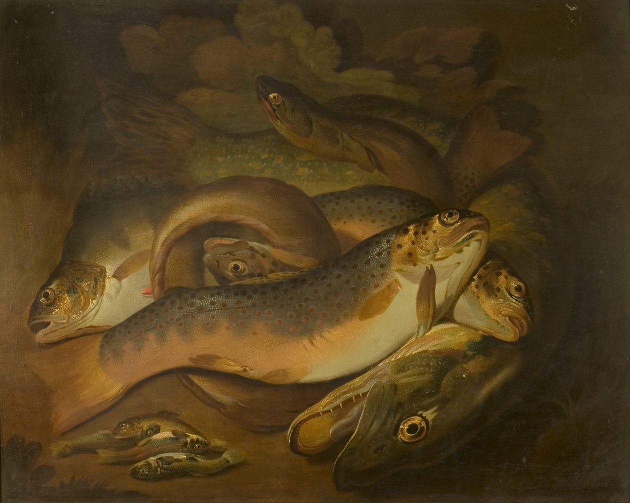 Fishes by Moses Haughton