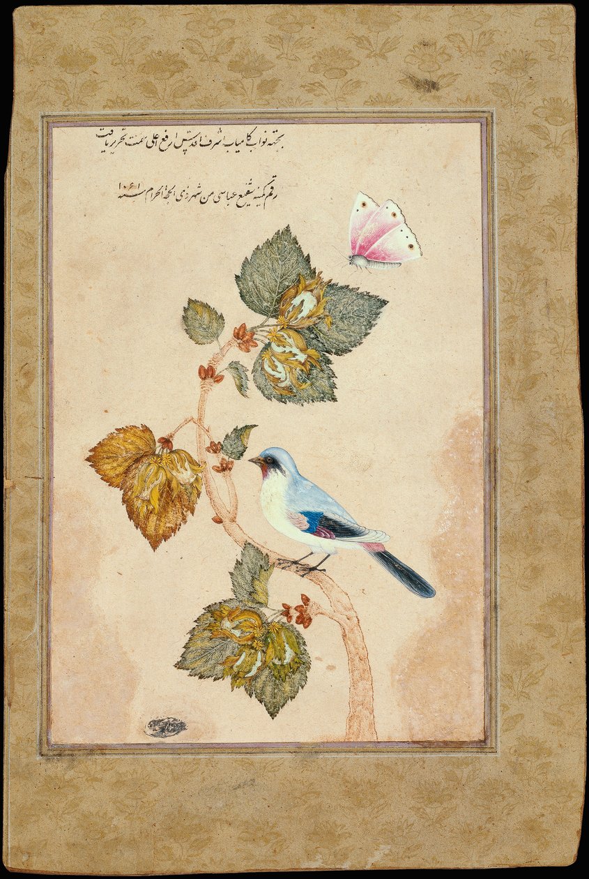A Bird on a Hazel Branch by Muhammad Shafi Abbasi