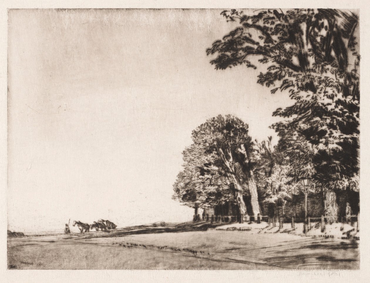 Hampstead Heath by Muirhead Bone