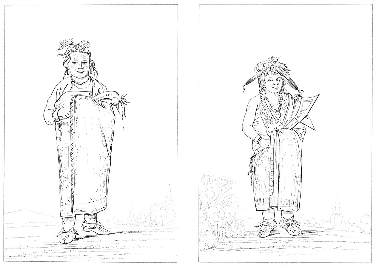 Winnebagoes by Myers and Co