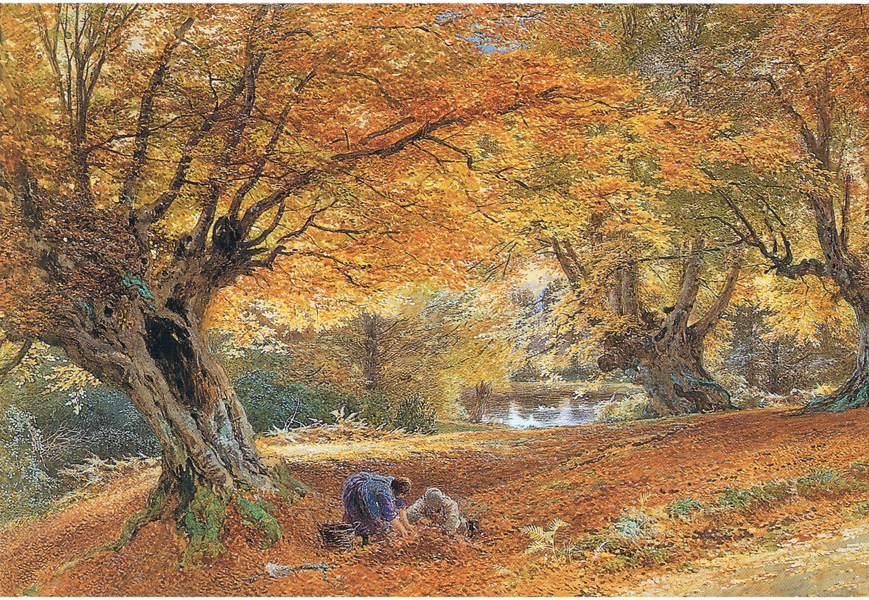 Burnham Beeches by Myles Birket Foster