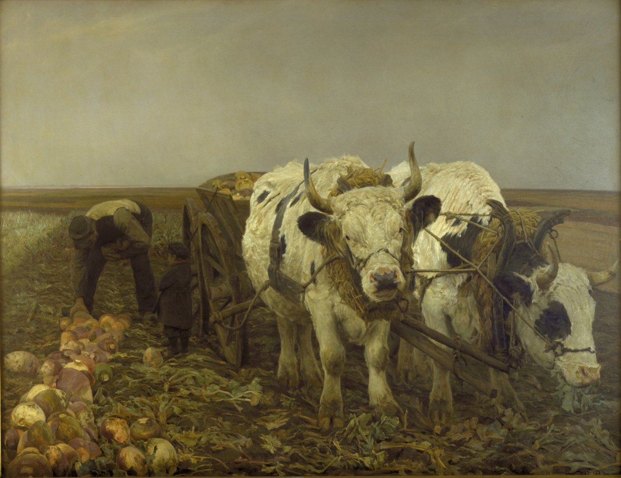 Beet Harvest by N.P. Mols