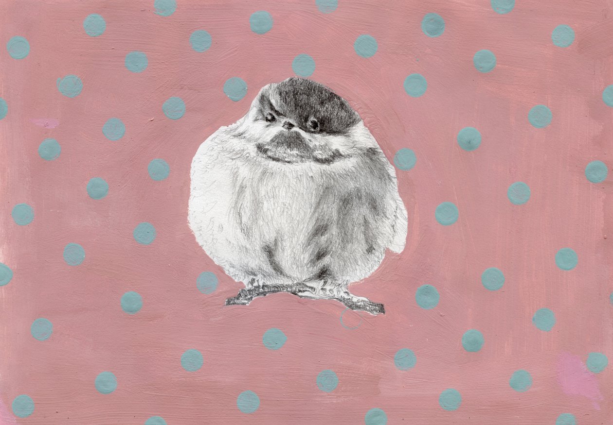 Chubby little bundle, 2014 by Nancy Moniz Charalambous