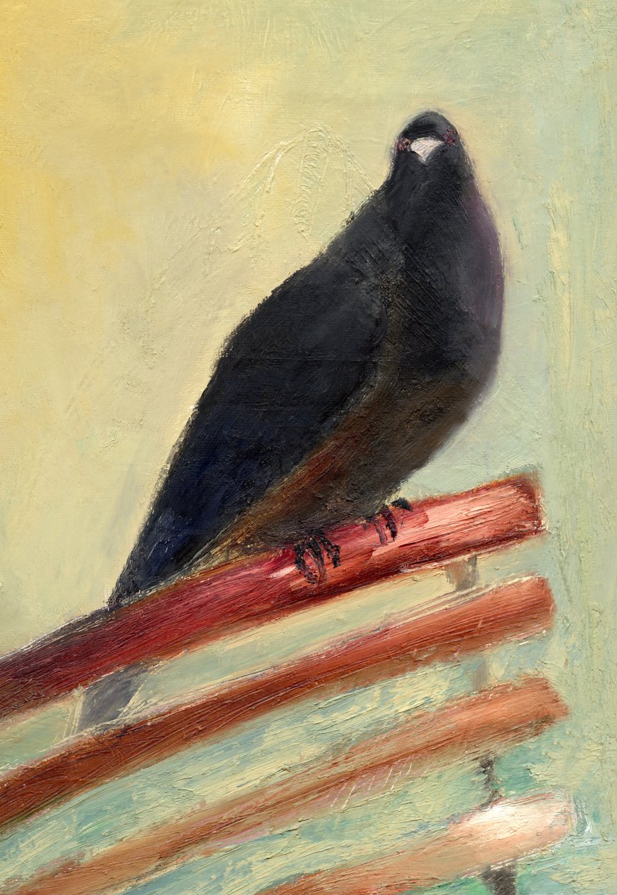Kingly Court Pigeon, 2013 by Nancy Moniz Charalambous