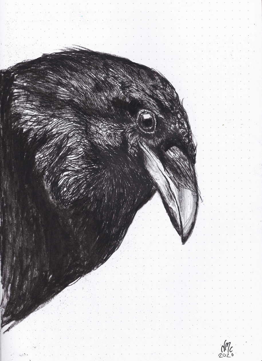 Crow or Raven, 2020 by Nancy Moniz Charalambous