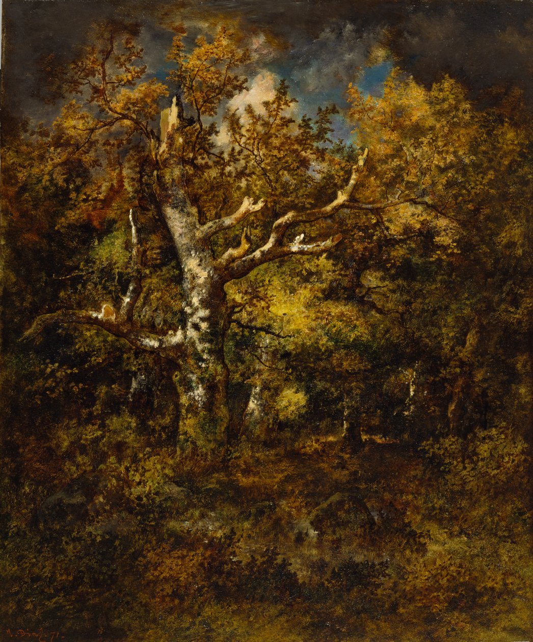 Forest of Fontainebleau, Autumn, 1871 by Narcisse Virgile Diaz de la Peña
