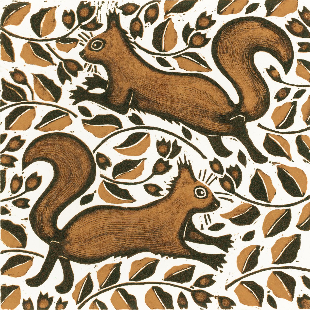 Beechnut Squirrels by Nat Morley