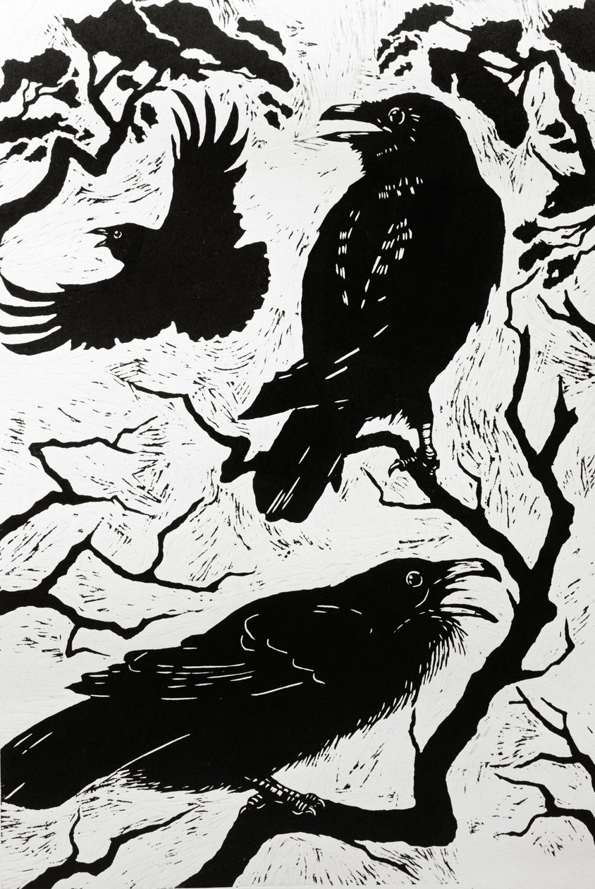 Ravens, 1998 by Nat Morley