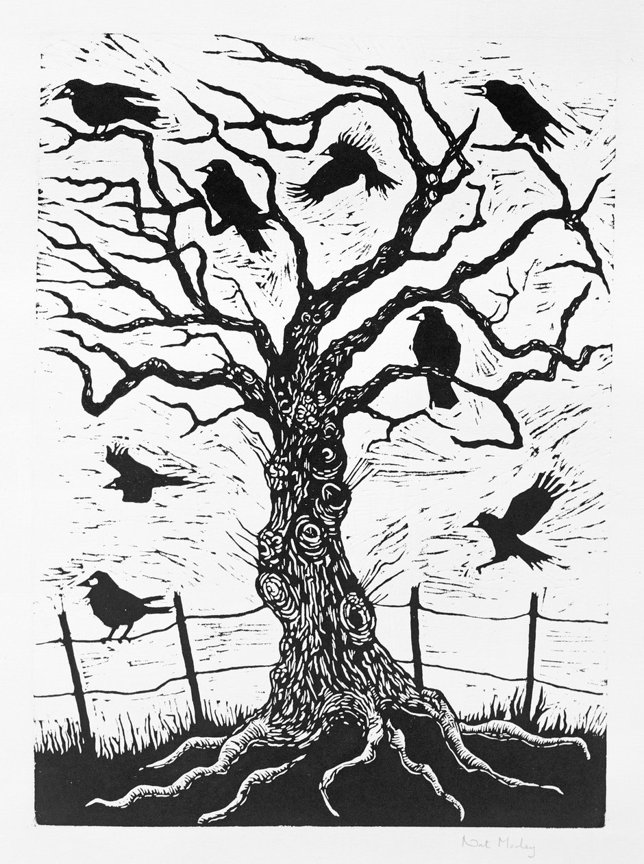 Rook Tree, 1999 by Nat Morley