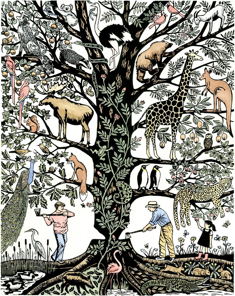6th Mass Extinction by Nat Morley