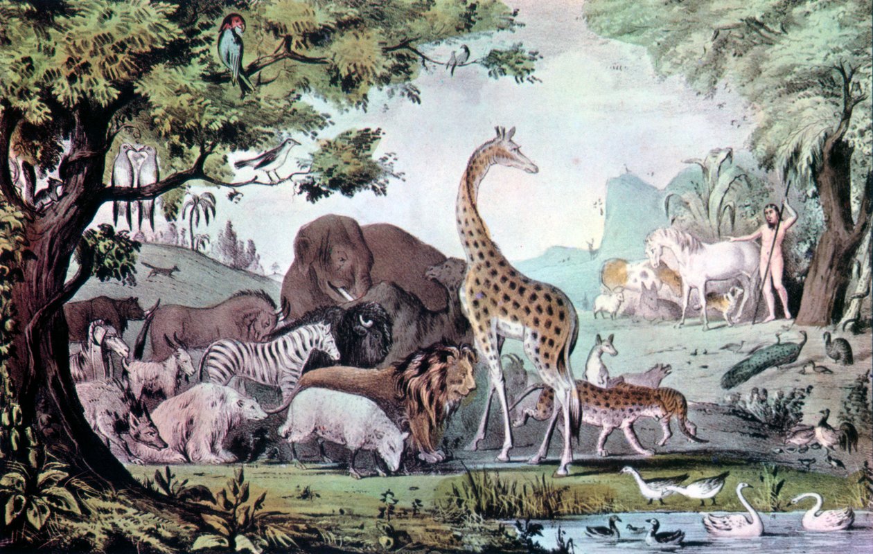 Adam Naming the Creatures by Nathaniel Currier