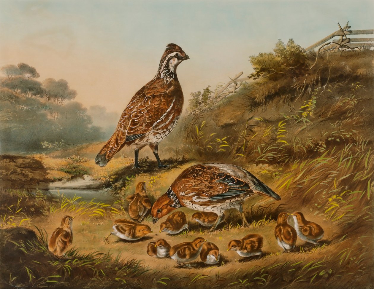 The Cares of a Family by Nathaniel Currier