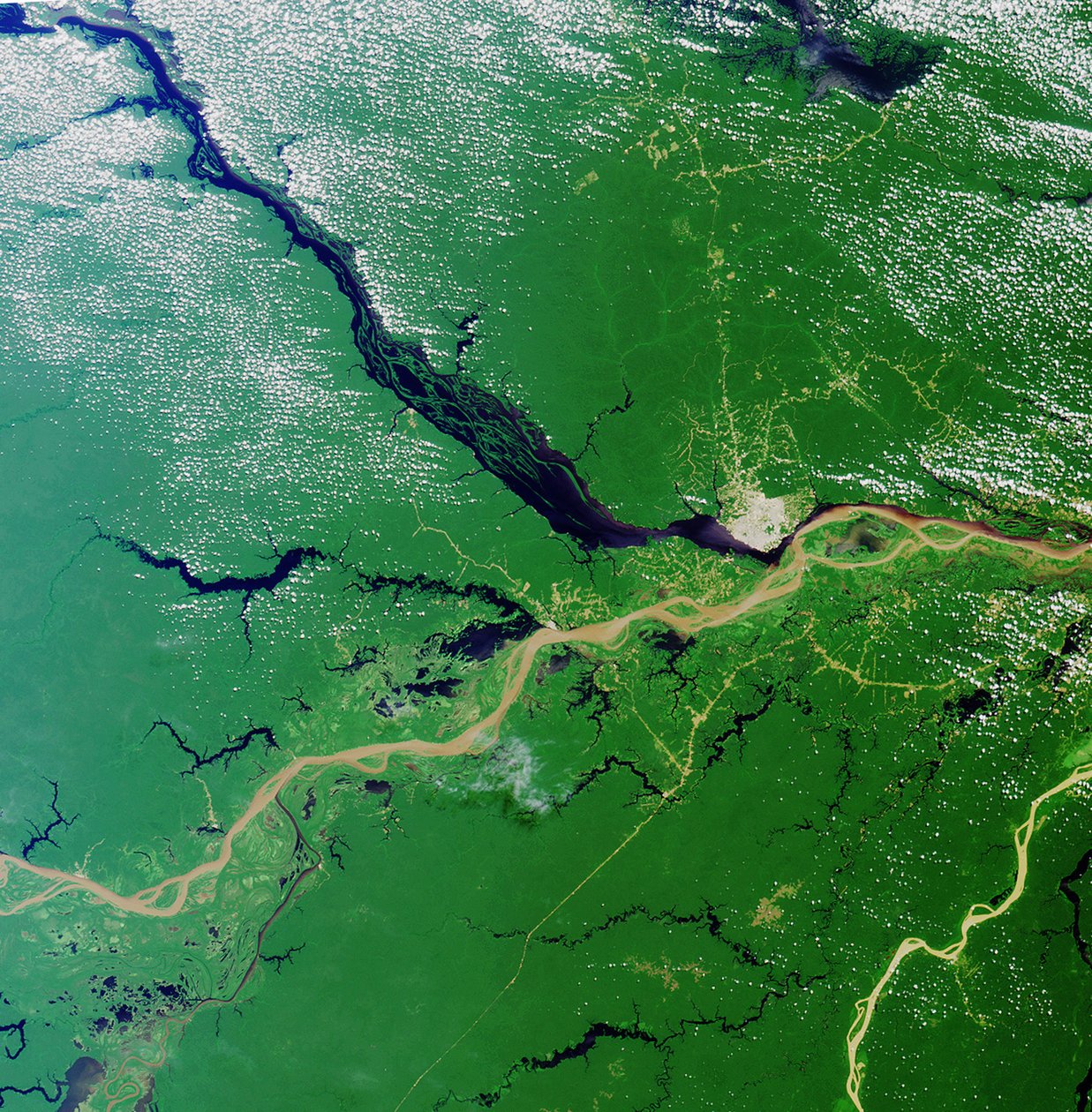 Convergence of the Rio Solimoes and the Rio Negro close to Manaus, Brazil, to form the River Amazon, the greatest river on Earth. Satellite image 23 July 2000 by National Aeronautics and Space Administration National Aeronautics and Space Administration