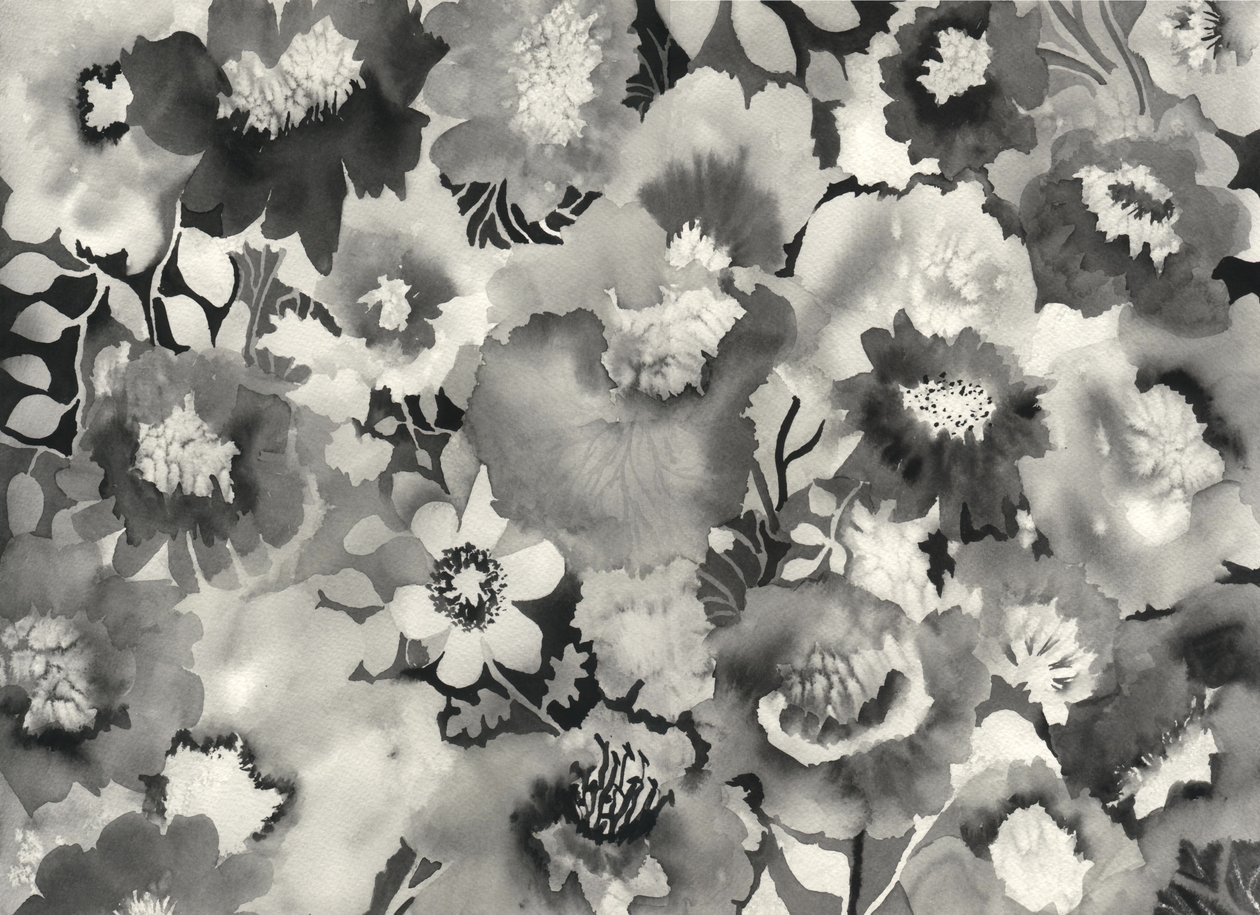 Floral in black and white by Neela Pushparaj