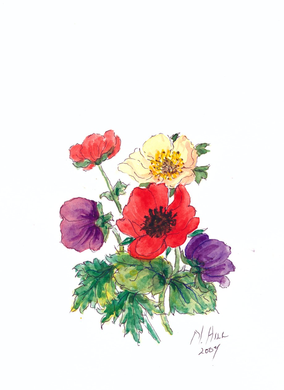 Anemones by Nell Hill