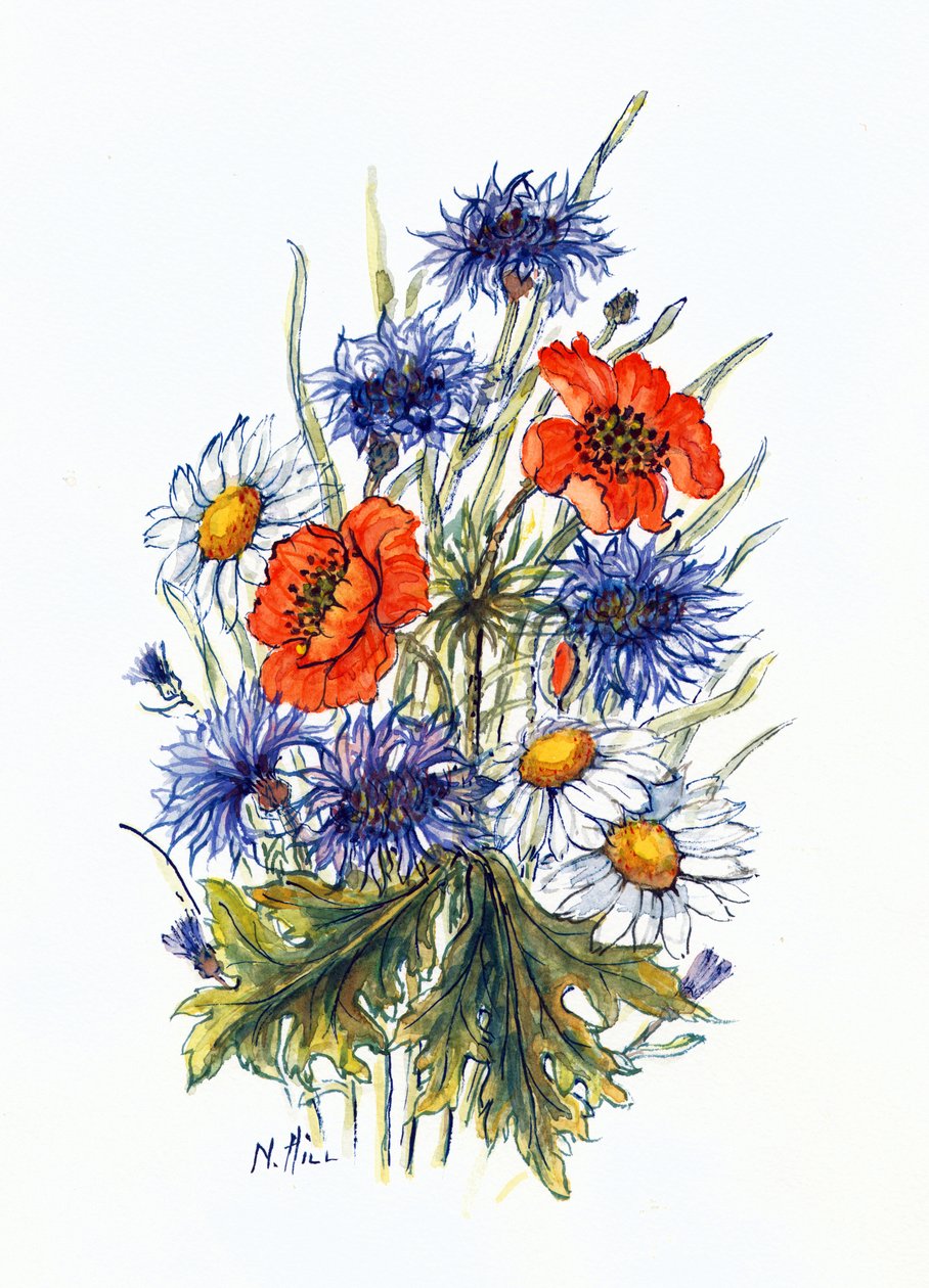 Cornflower, Poppy and Ox-eye Daisy by Nell Hill