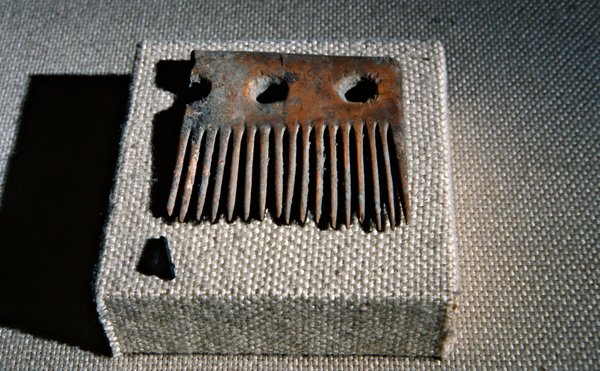Wooden Comb, Found in the Cueva de los Murcielagos, Zuhero, Spain by Neolithic