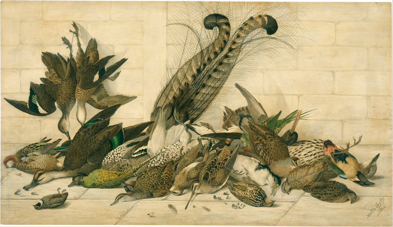 not titled (Australian gamebirds) by Neville Cayley