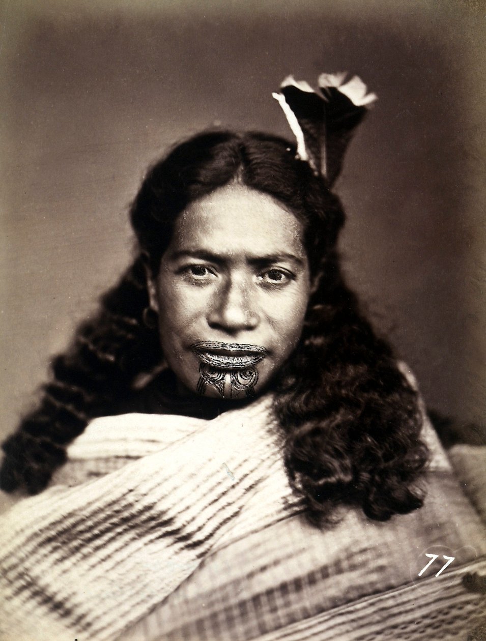 Portrait of a Maori with a tattooed face, c.1886-88 by New Zealand Photographer