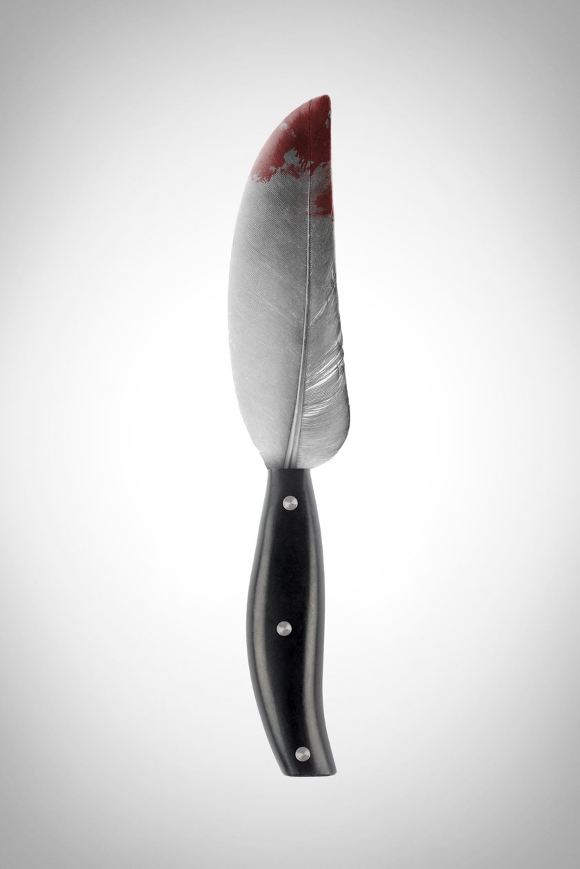 The Feather by Niccolò Fioriti