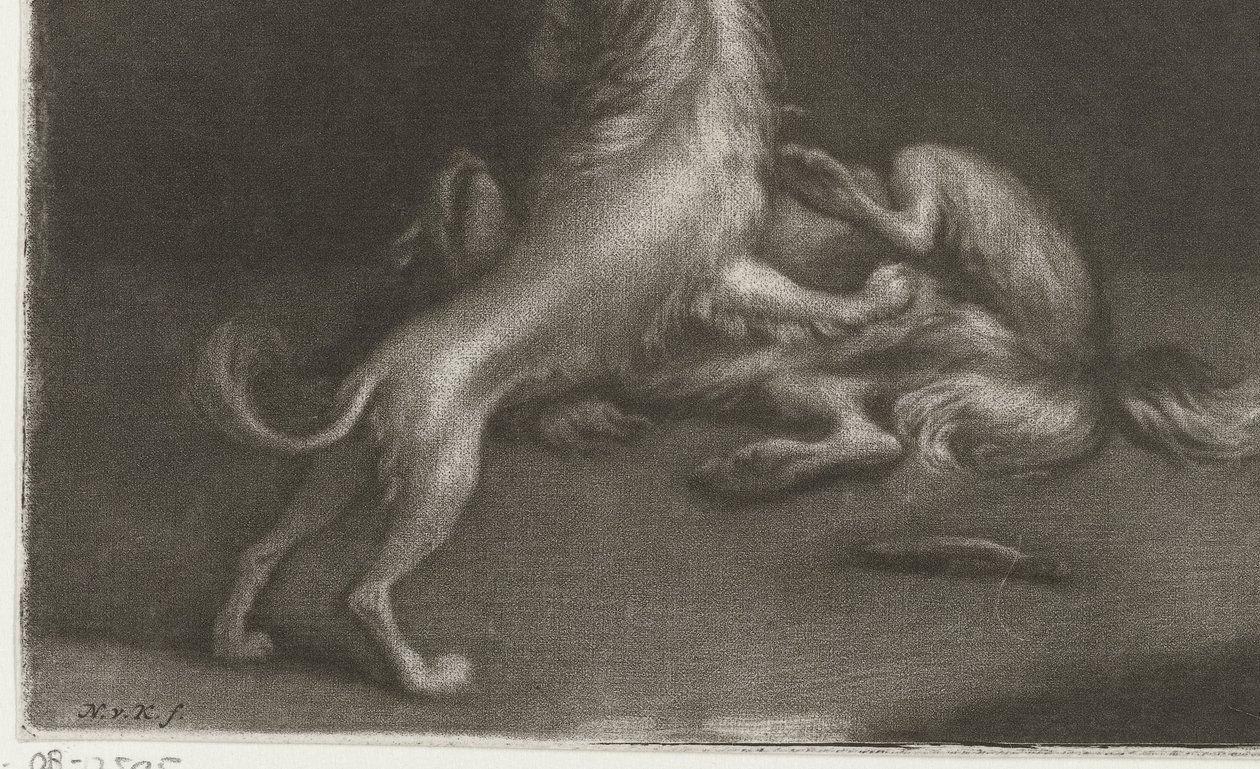 Two Playing Dogs by Nicolaas Verkolje
