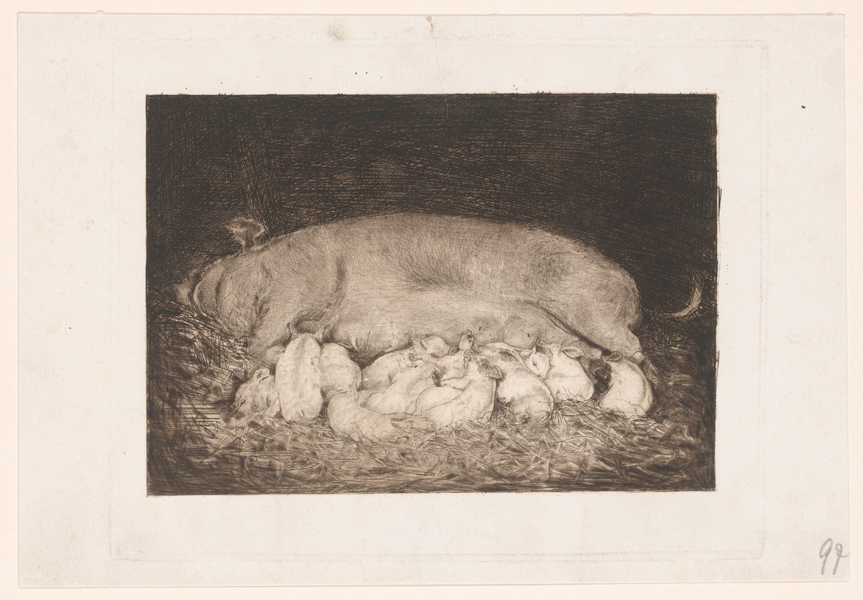 Sow with Piglets by Nicolaas van der Waay