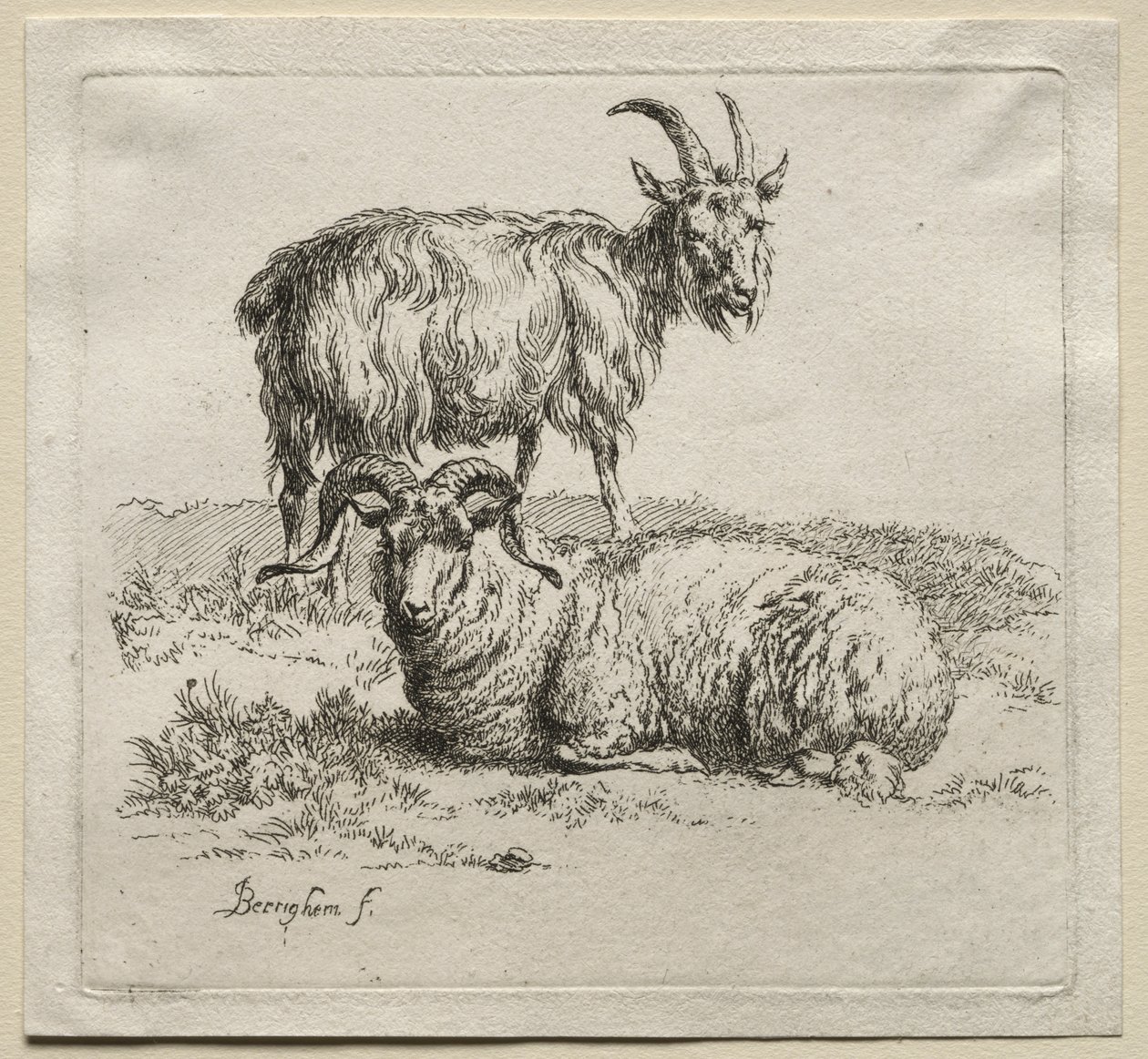 Animalia: Ram and Goat by Nicolaes Berchem