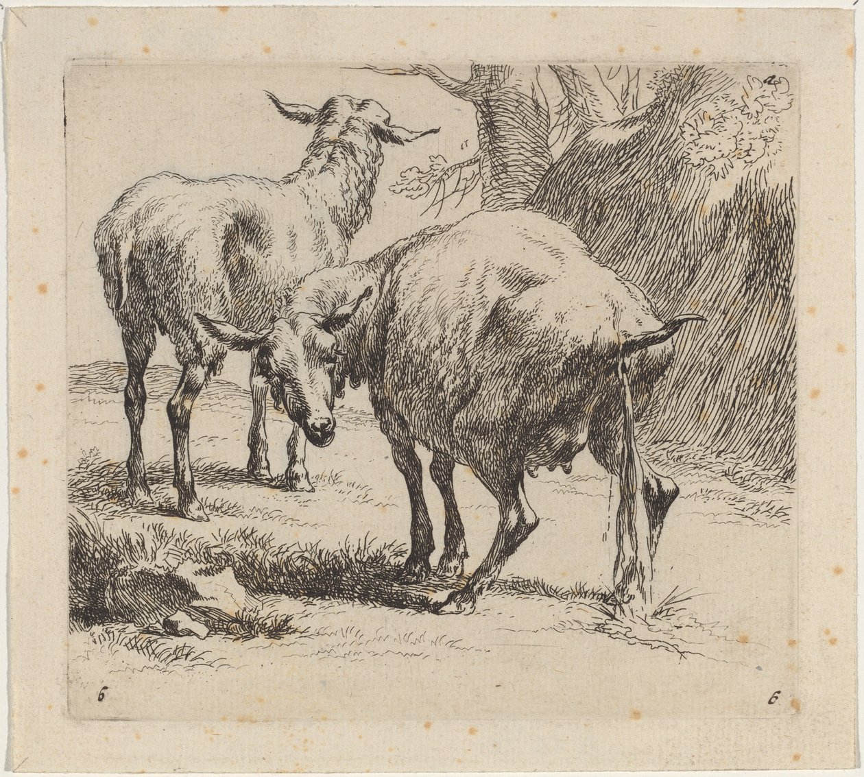 Two Sheep, One Pissing by Nicolaes Berchem