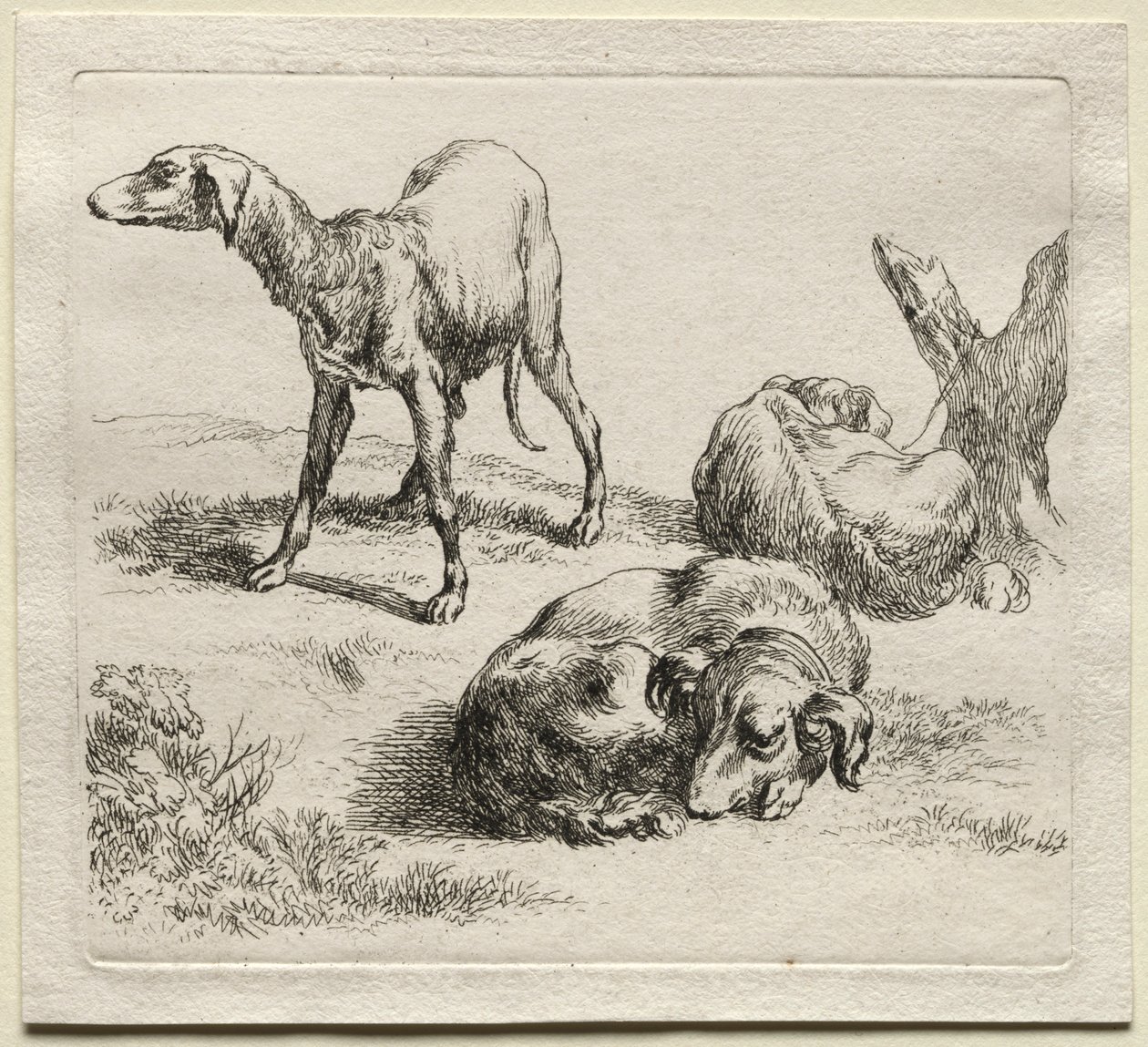 Three Hunting Dogs by Nicolaes Pietersz. Berchem