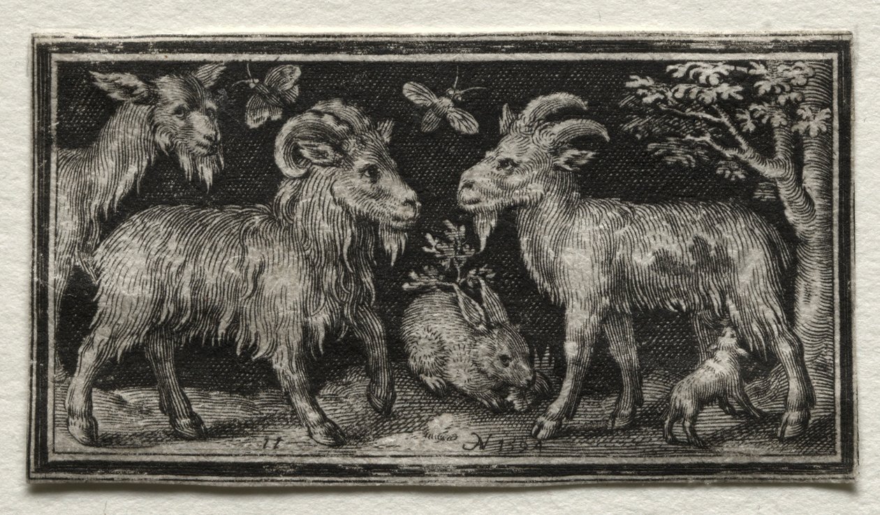 Goats and Hare by Nicolaes de Bruyn