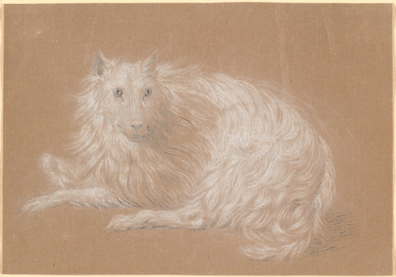 A lying long-haired dog by Nicolai Abildgaard