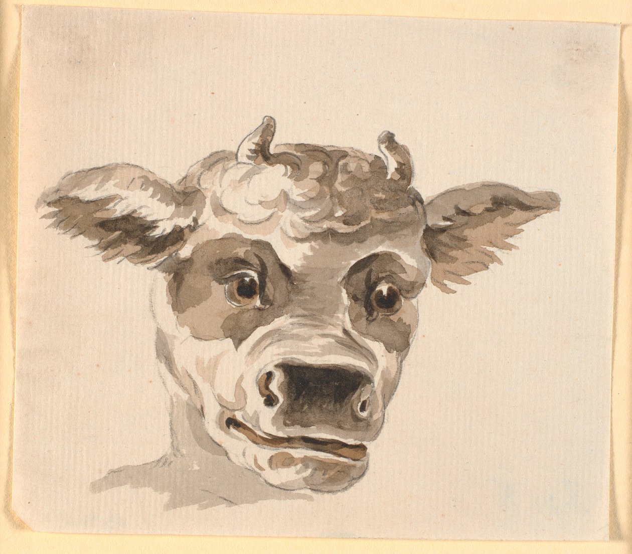 Minotaur