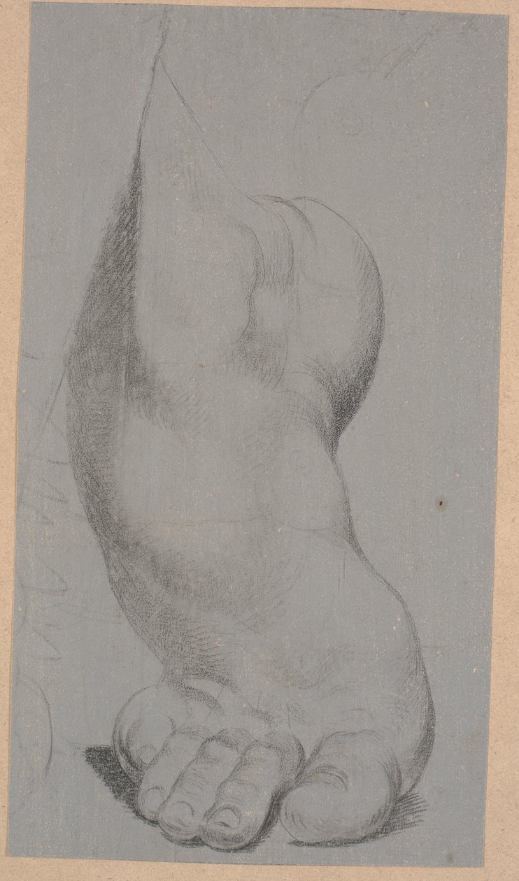 Study of a Foot by Nicolai Abildgaard