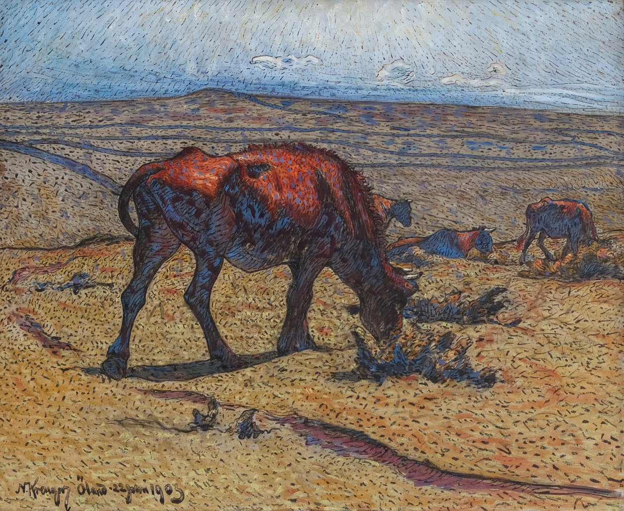 Heifers by Nils Kreuger