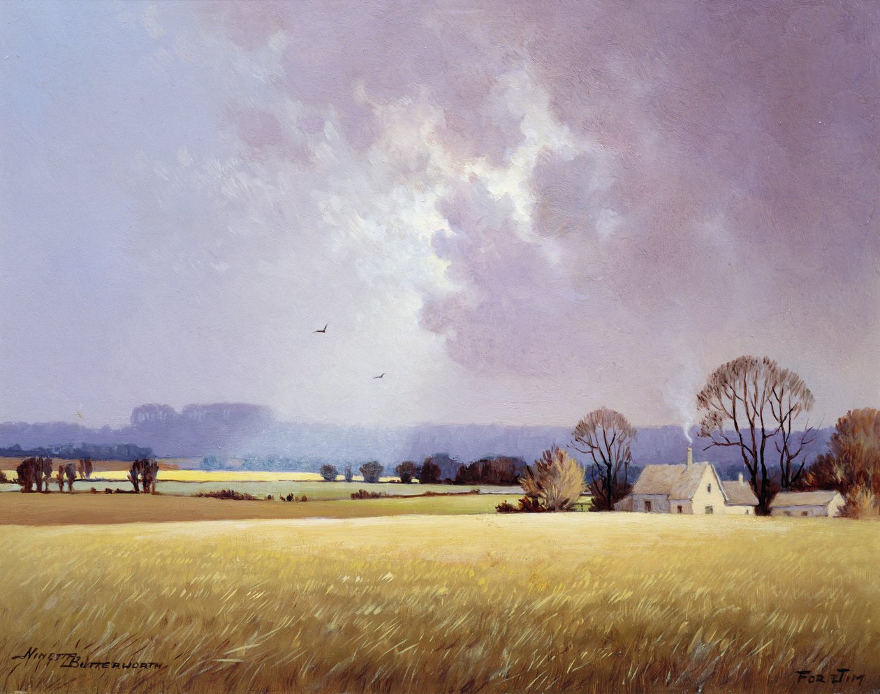 Autumn Sunlight, 1982 by Ninetta Butterworth