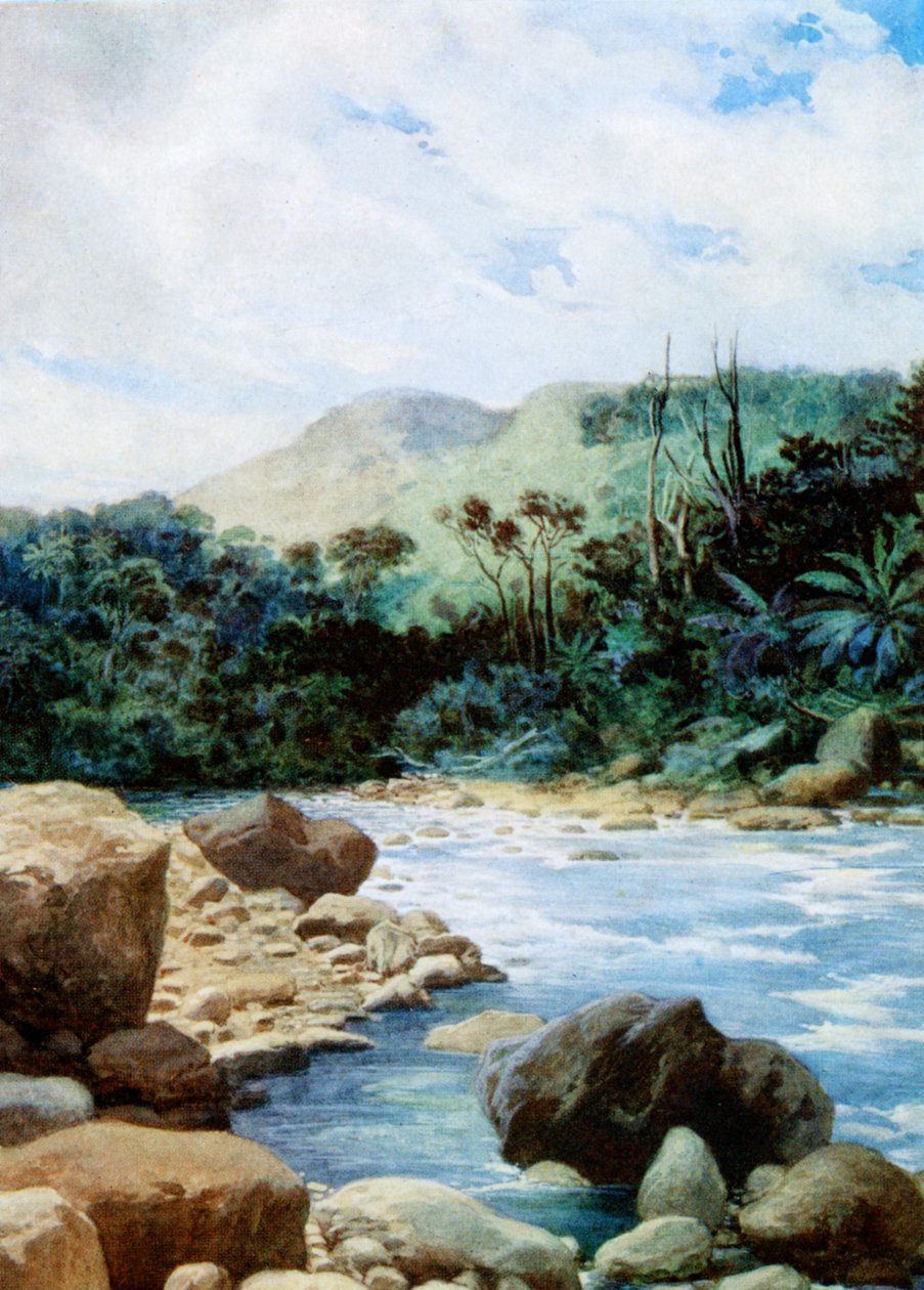 Scenery in Eromanga, New Hebrides by Norman Hardy