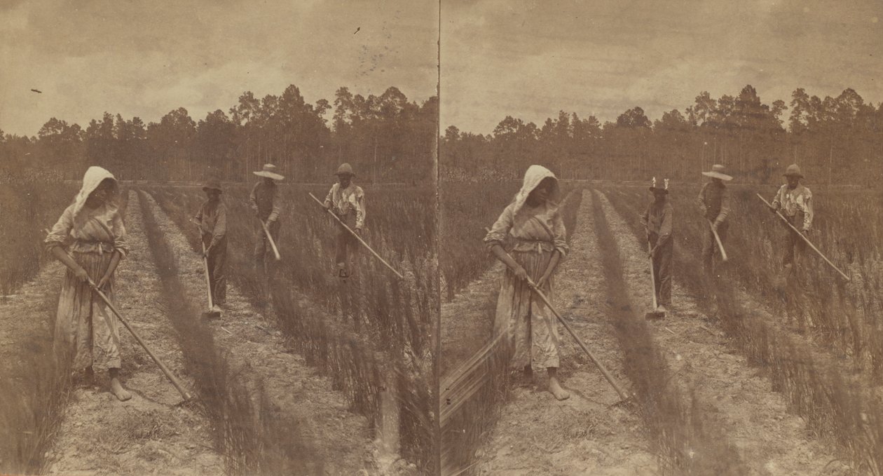 Hoeing Rice by O. Pierre Havens