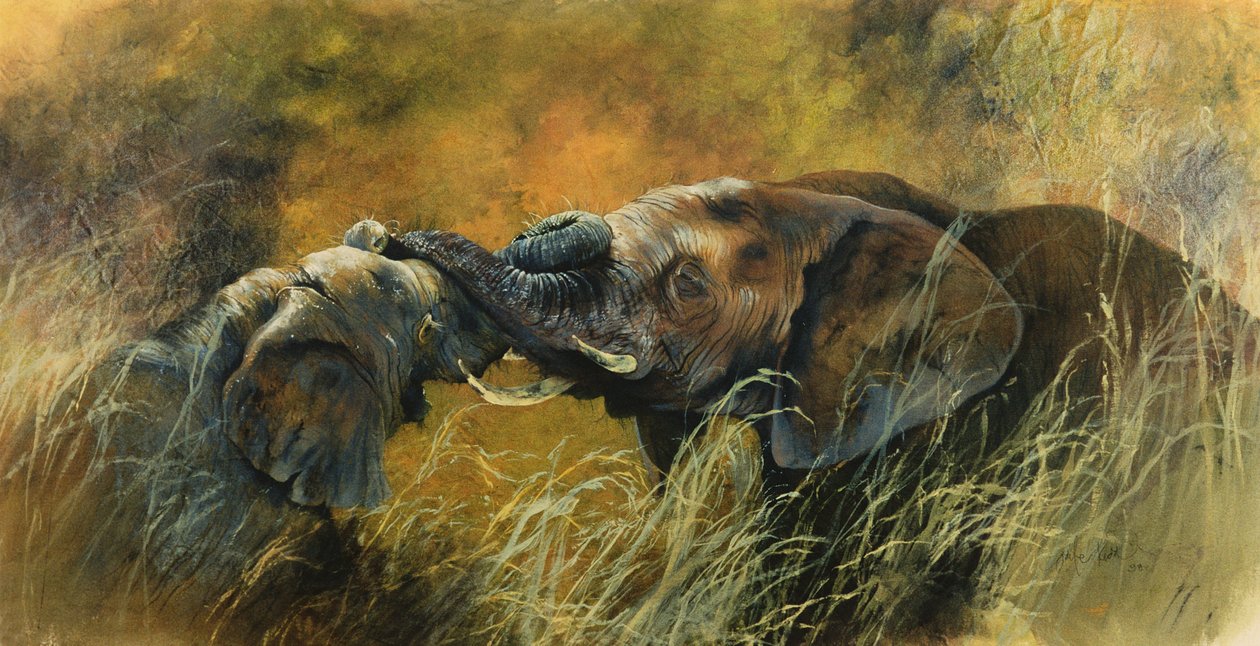 Bundu by Odile Kidd