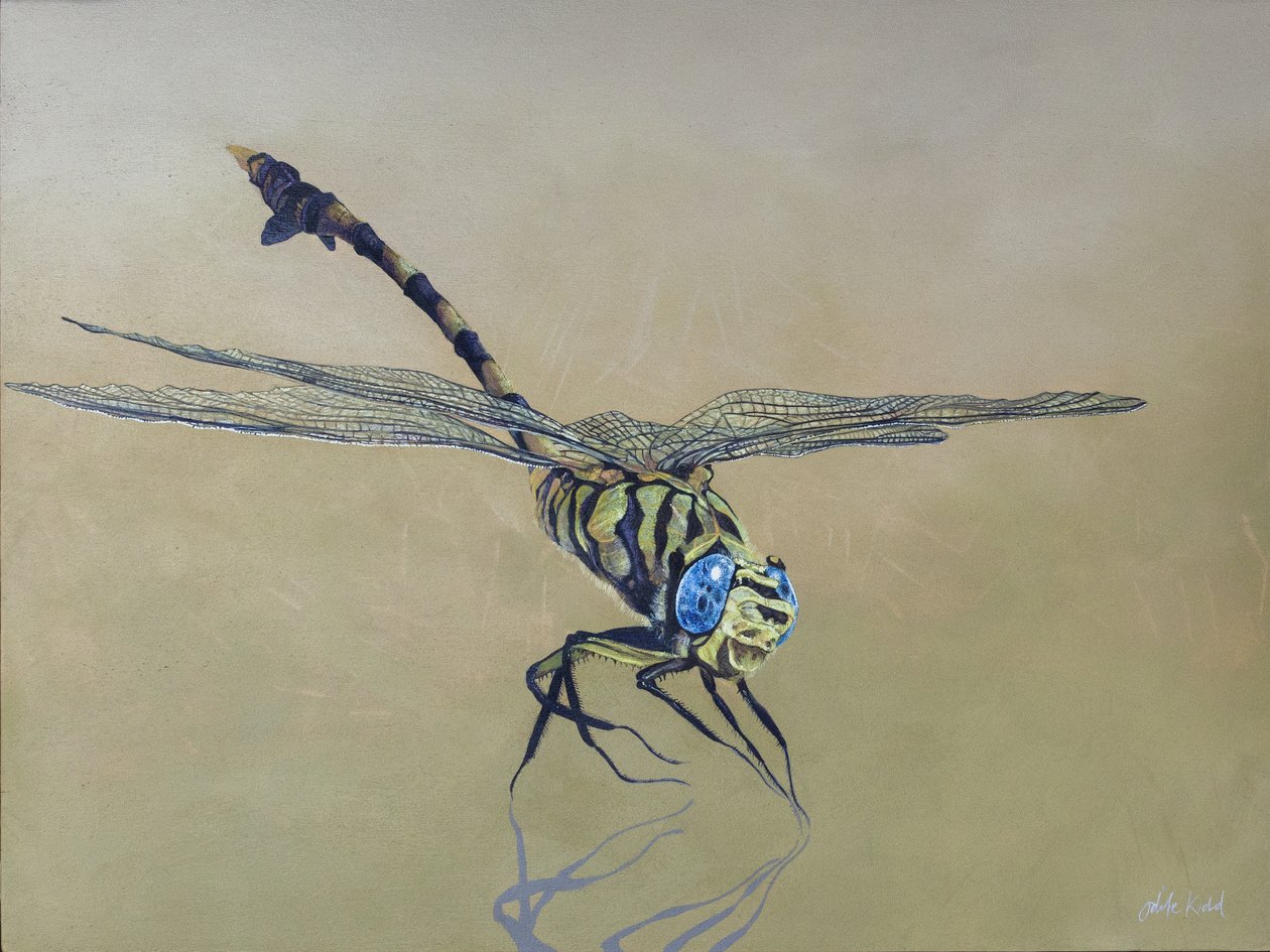 Dragon fly by Odile Kidd