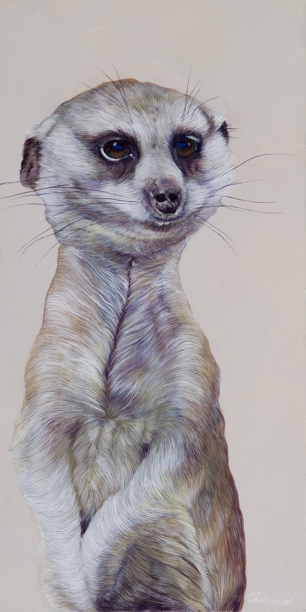 Meerkat 1 by Odile Kidd