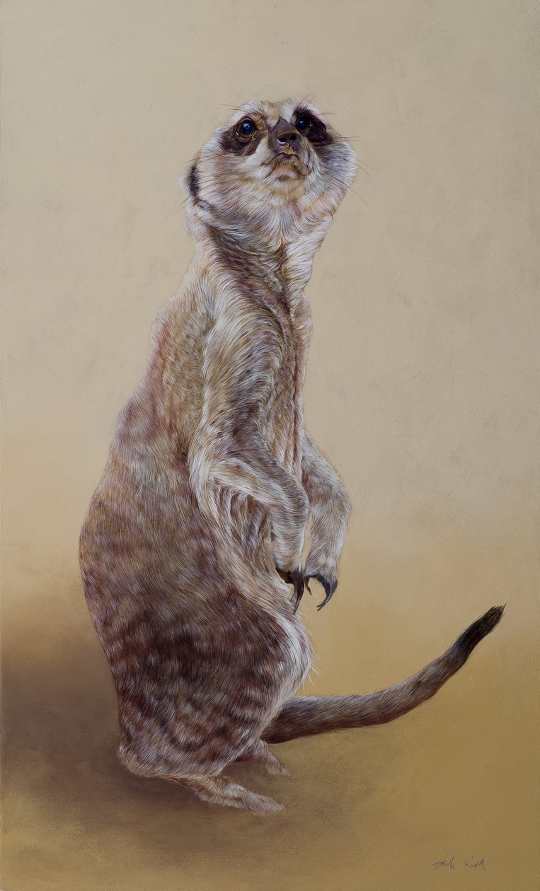 Meerkat 2 by Odile Kidd