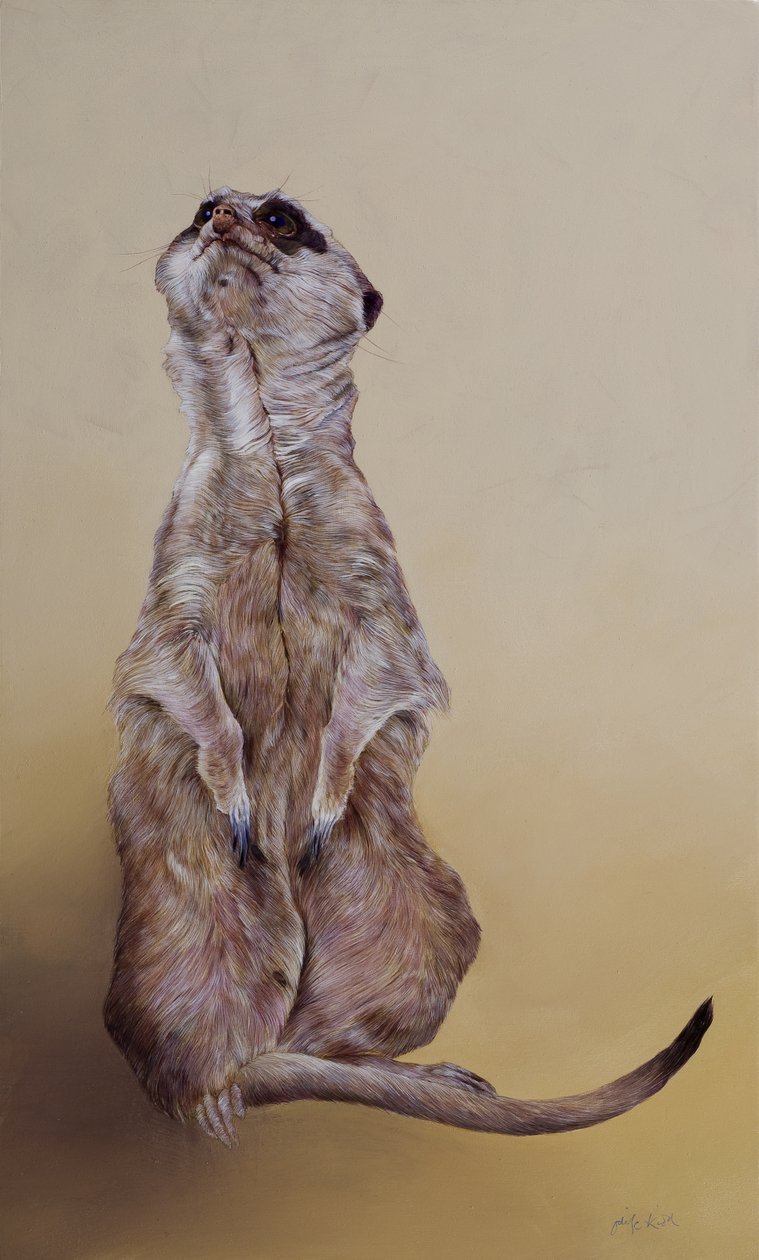 Meerkat 3 by Odile Kidd