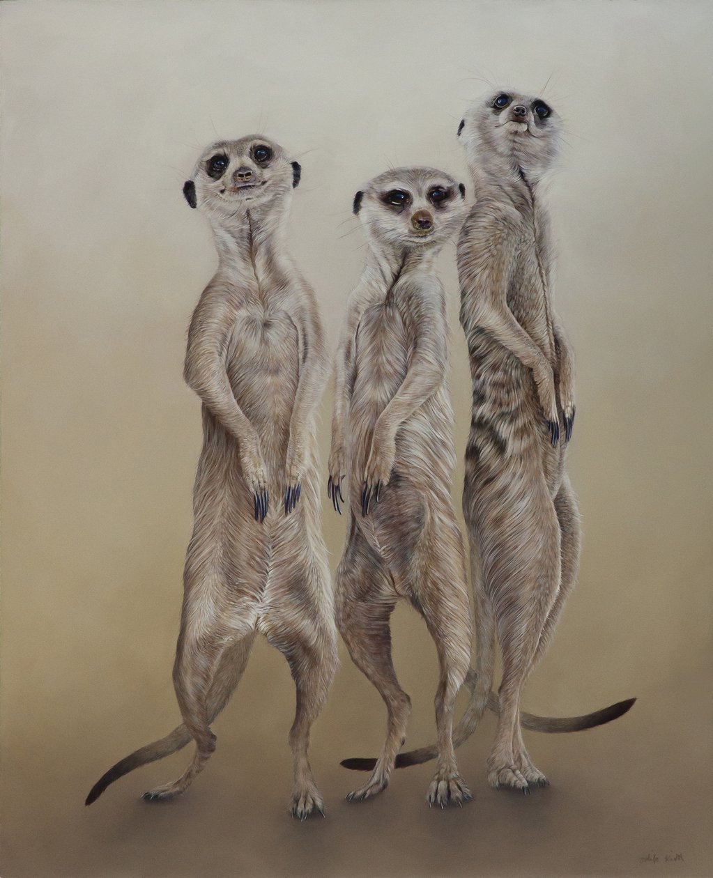 Meerkats by Odile Kidd