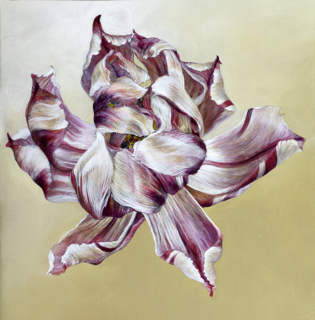 Tulipa, 2013 by Odile Kidd